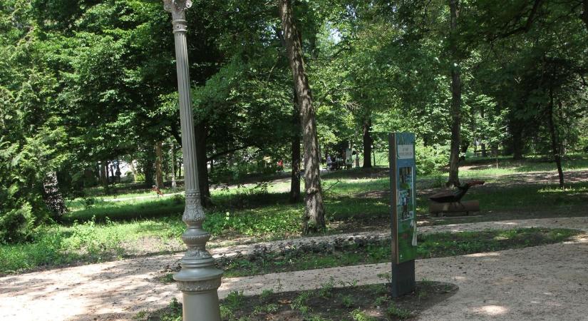 Ismét permetezik a gyomnövényeket a közterületeken