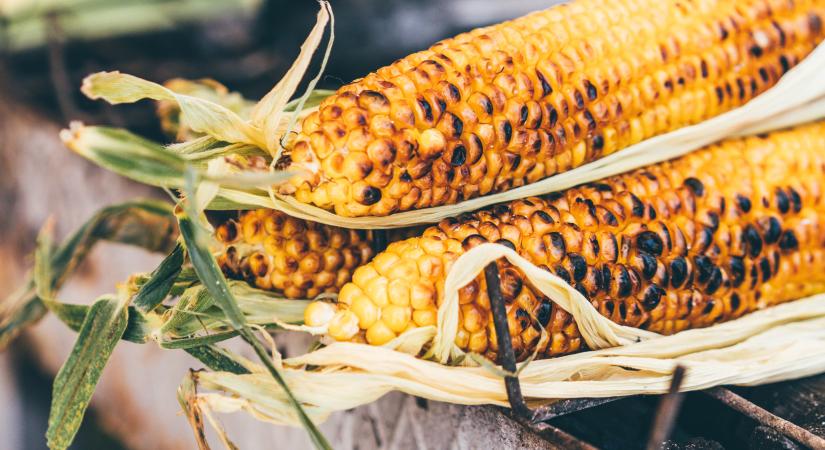 Hétvégi gasztró: a főtt kukoricán túl is van recept