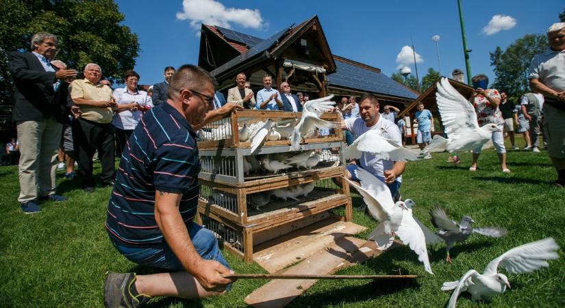 141 madár repült a magasba a postagalambászok felsőlajosi találkozóján – galériával