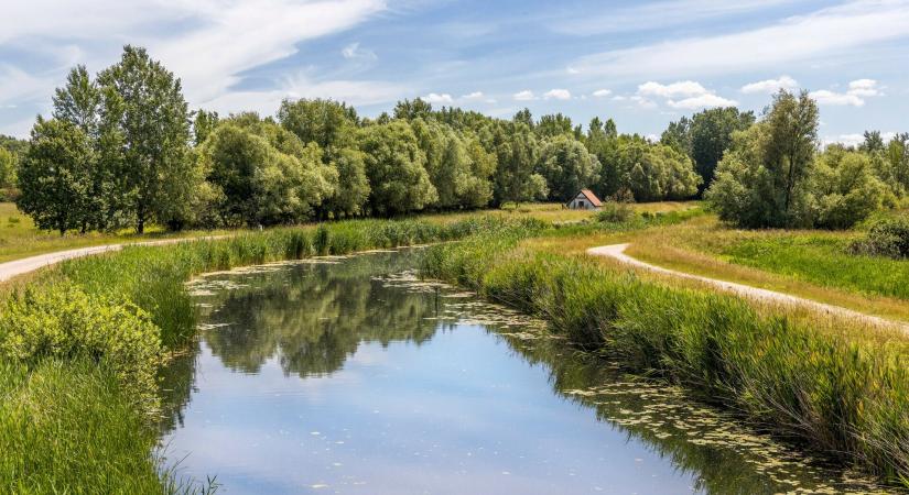 Állatok és növények birodalma: a vadregényes Kis-Balaton