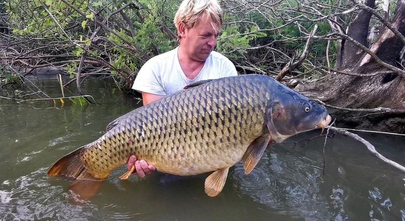 25 kilós ponty akadt a horogra Sarudnál