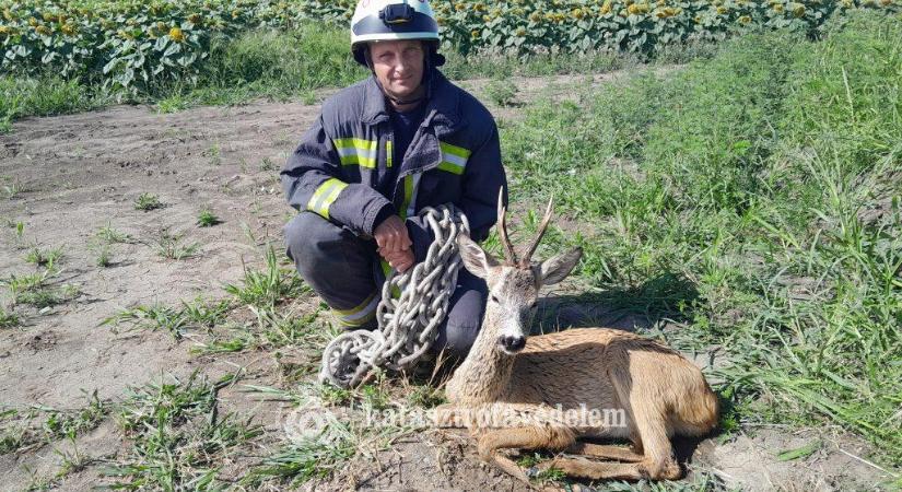 Július hónap fotója – minden élet számít