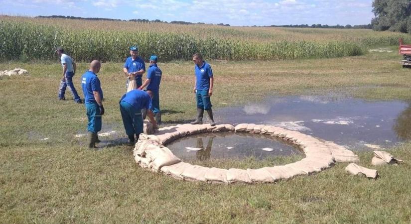A környékbeli vízügyesek is segítik az árvízi védekezést a Dráván