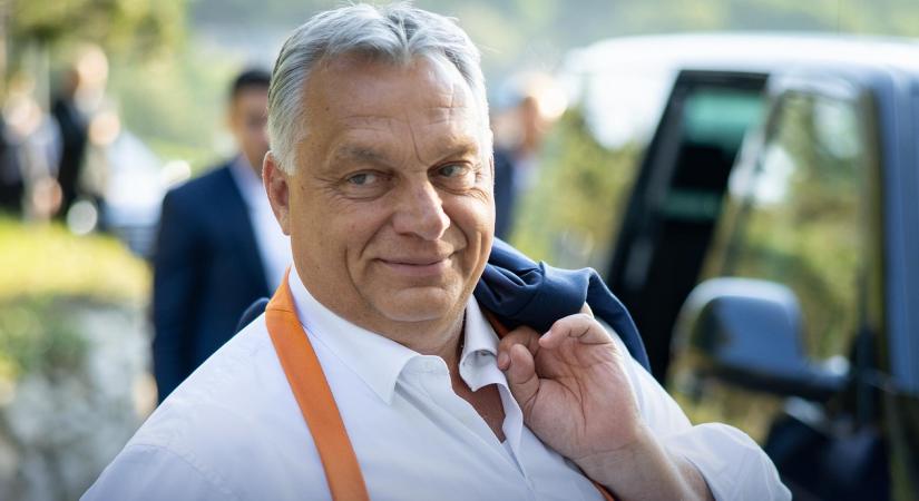 „Tisztelt Adatigénylő! Ez marhaság.”