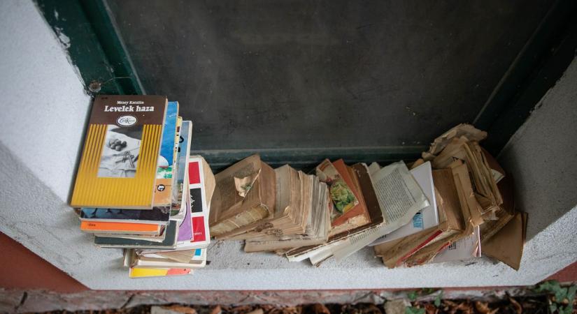 Ingyen juthatunk könyvhöz a Dózsa György úton