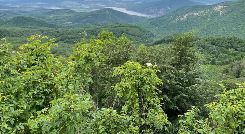 Túl a tömegen kincseket találunk: ez Nyugat-Börzsöny és az Ipoly völgye