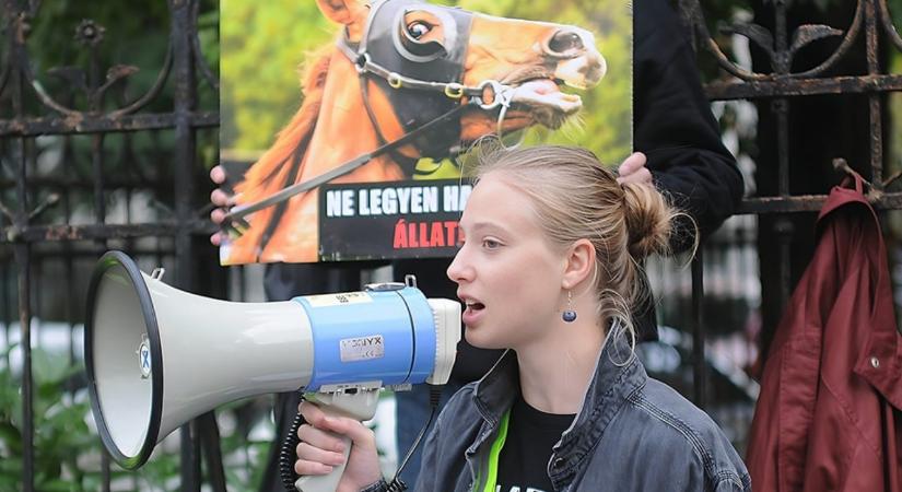 Művérrel leöntött, lefóliázott vegánok sokkolták a strandolókat a Balatonon