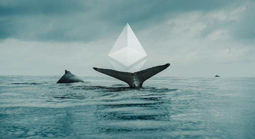 Ethereum bálna ébred 8 év csend után