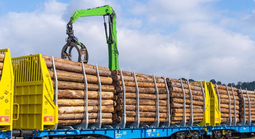 A vasúti fafuvarozás fejlesztéséről egyeztettek a Rail Cargo Hungaria és az erdőgazdaságok vezetői