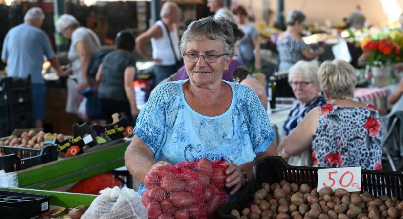 Apró az idei burgonya, jobb felvásárlási árat remélnek