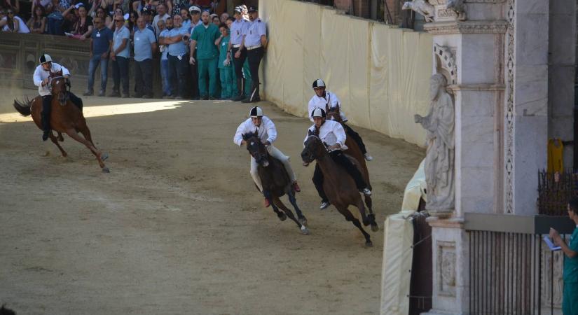 Fellángolt a tiltakozási hullám, miután megsérült két ló a Palio di Siena fesztiválon