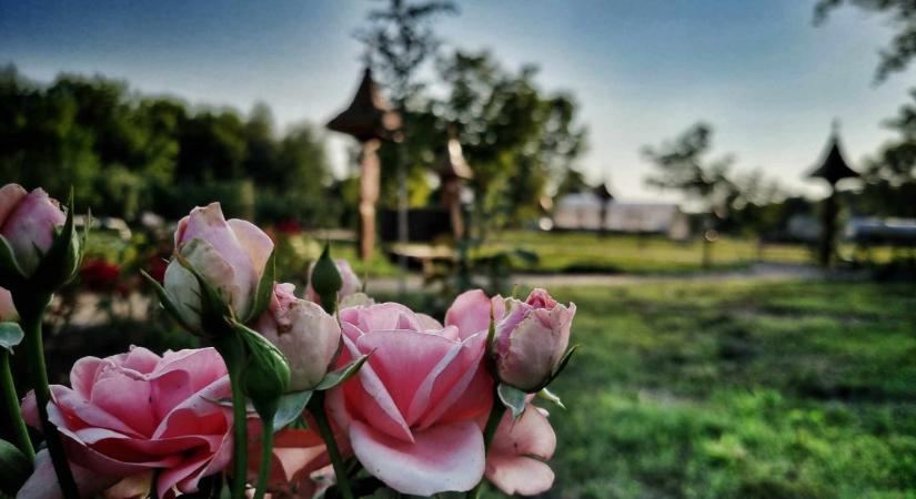 Ezt minden párnak ki kell próbálnia: átadták a Szerelem-tanösvényt