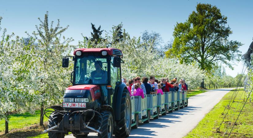 A csodaalma témaparkja: a Derecskei Élménykert felelősen fenntartható élménybirodalom