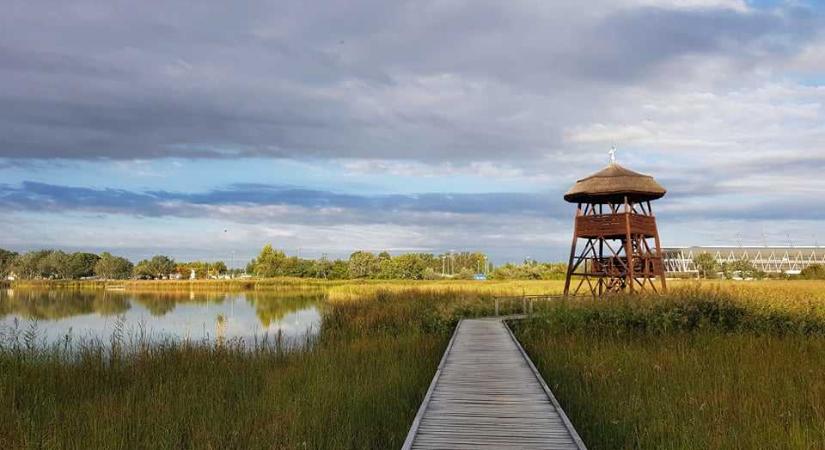 Székesfehérvár oázisa a Sóstó Természetvédelmi Terület
