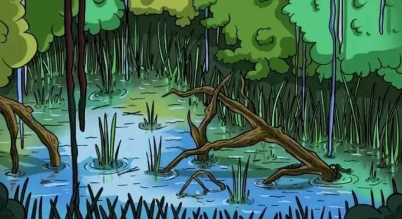 Kivételes képességekkel rendelkezel, ha megtalálod a krokodilt 9 másodperc alatt