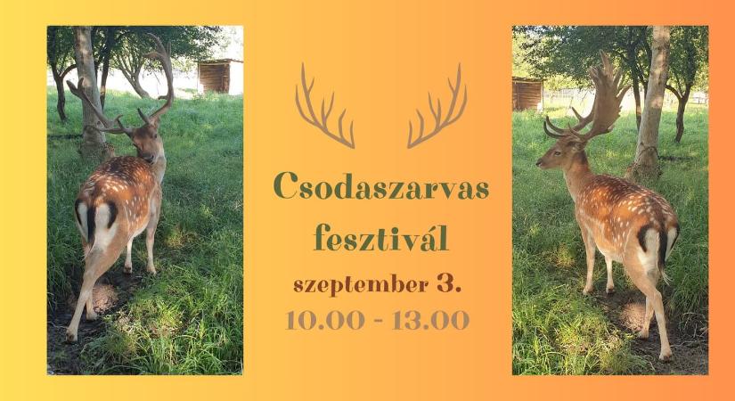 Csodaszarvas fesztivál 2023 Gyenesdiás