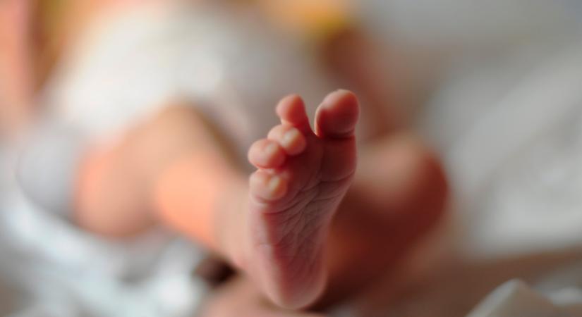 Súlyos döntést kellett meghoznia Cookynak: legnagyobb részben erről is az anyagiak tehetnek
