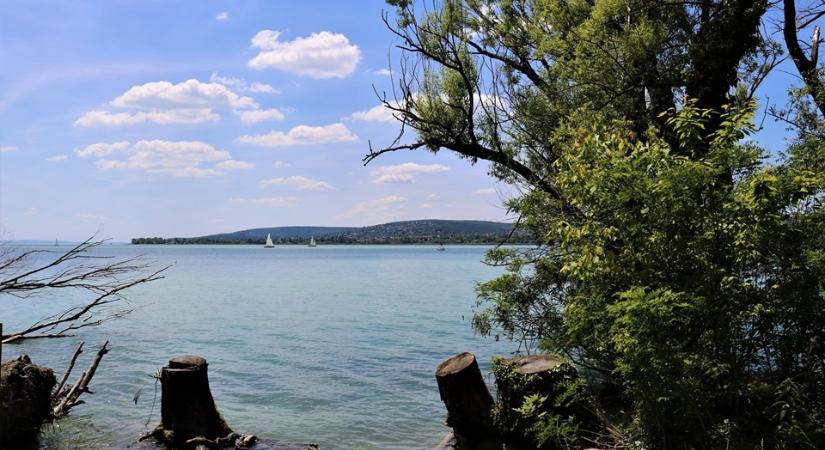 Szüreti felvonulás és bál 2023 Balatonfűzfő