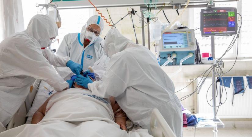 Megdöbbent az orvos: 8 cm-es, élő férget talált a nő agyában