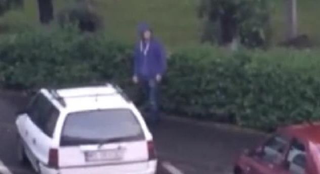 Megvárta a madár, hogy hátat fordítsanak neki, és akkor támadott - videó