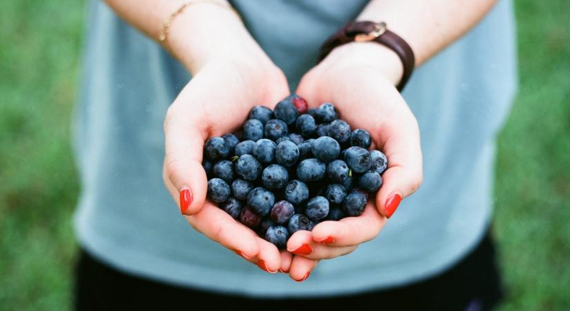 Hódít a farm-to-table koncepció