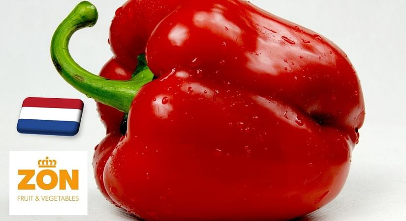 Hollandia: augusztus végére jelentősen emelkedett a paprika ára