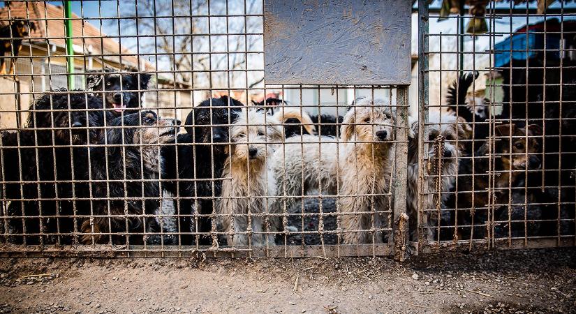 Több milliárdos pályázati kiírás civil szervezetek támogatására