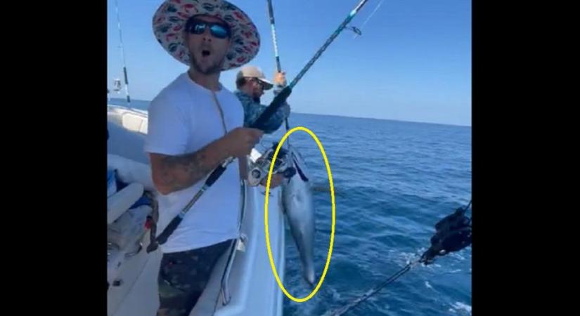 Jó nagy halat fogott ki a horgász, de csak majdnem - videó