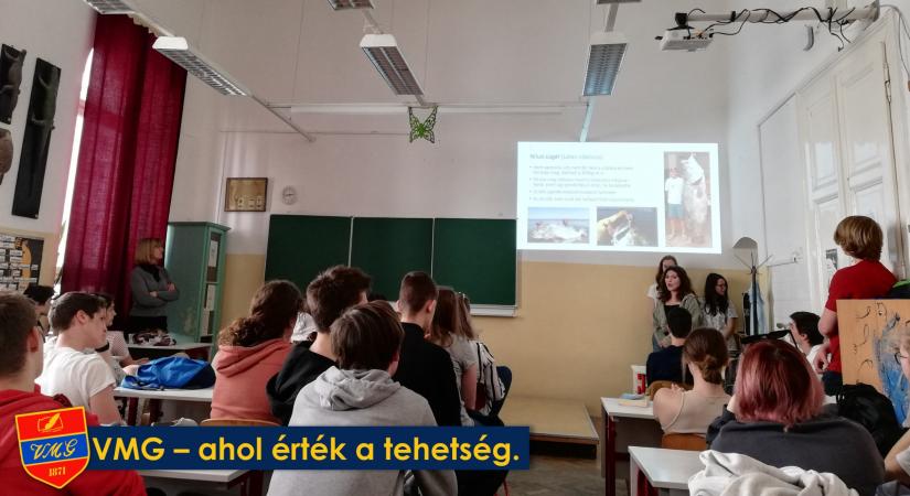 Hazudozás helyett őszinteség, közöny helyett megértés, ostobaság helyett értelem - ígéri a Vörösmarty Gimnázium