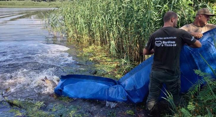 Régi horgászhelyek válnak ismét jól használhatóvá 