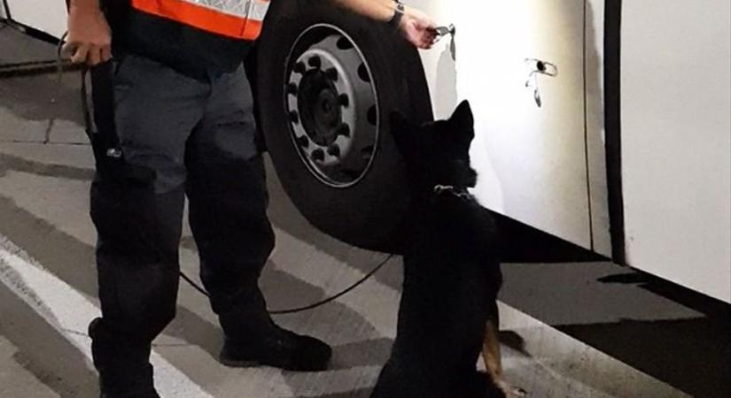 Supra gond nélkül kiszagolta a csempészcigit