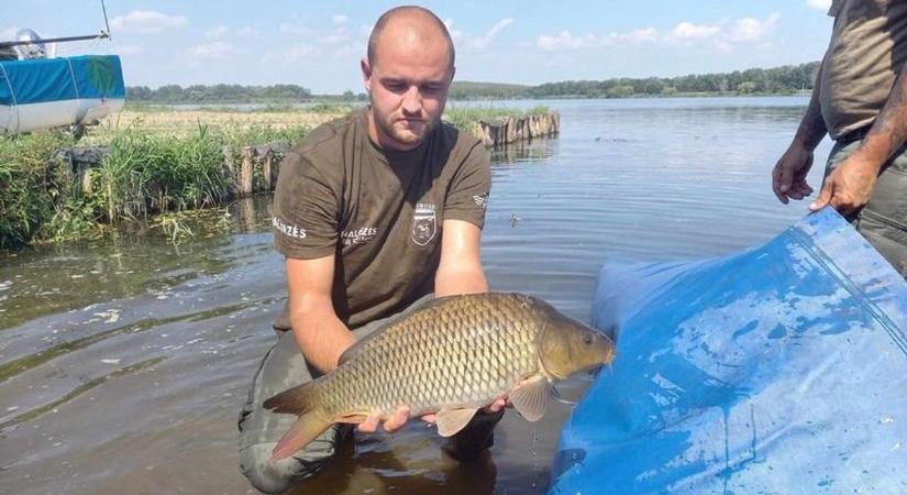 Pontyokat telepítettek a Tisza-tóba, indulhat a peca