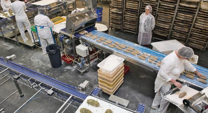 A szlovákiai polgárok fele más szakot választana, mint amit kitanult