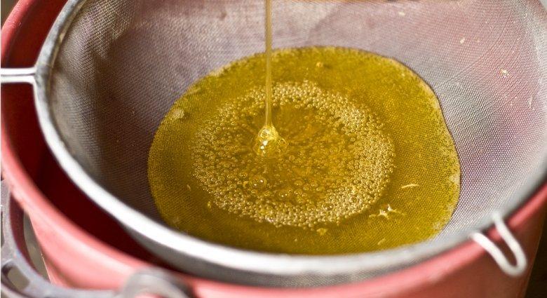Csurrant-cseppent idén, de rossz a felvásárlási ára a méznek