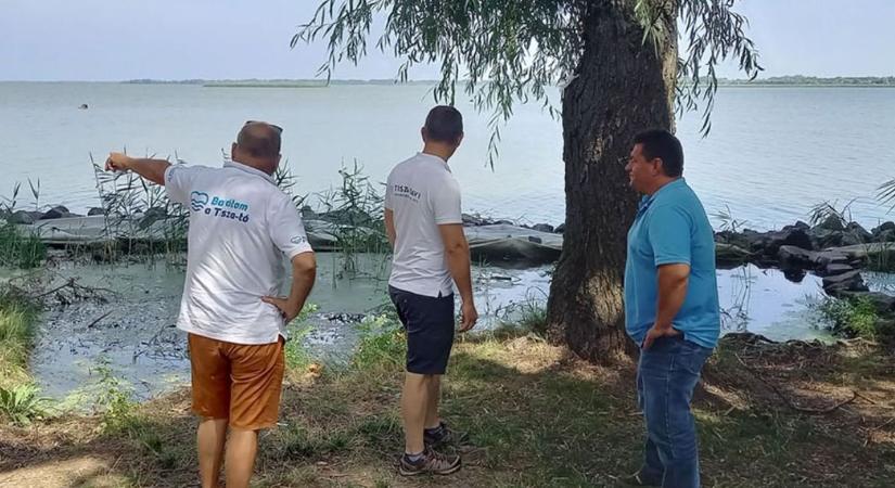 Rendbe teszik a horgászhelyeket a Tisza-tónál