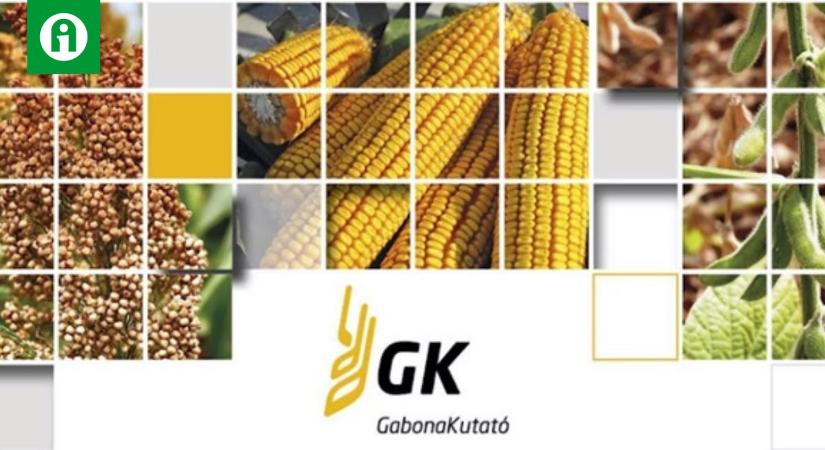 Kukorica-, cirok-, napraforgó-, és szója bemutató