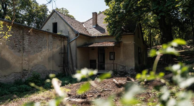 An unexpected withdrawal precedes the Rogán-circle’s Rózsadomb property acquisition