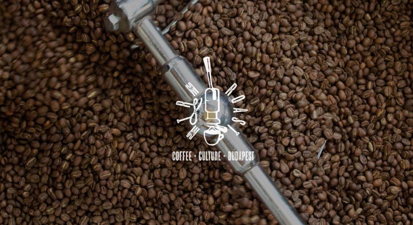 Adománygyűjtő koncertsorozat indul az MTRM ROAST szervezésében a Bátor Táborért