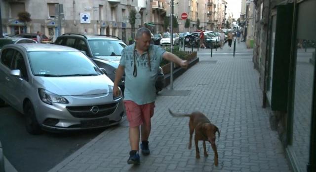 Kolbászt szimatolt, de fegyvert is találtak nála – így leplezte le a vizsla a férfit, aki a XIII. kerületben lövöldözött