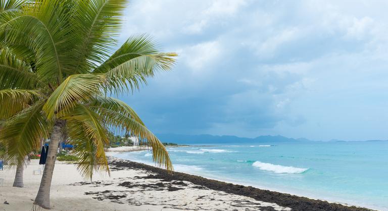 Pénzesőt zúdít Anguilla szigetére a mesterséges intelligencia