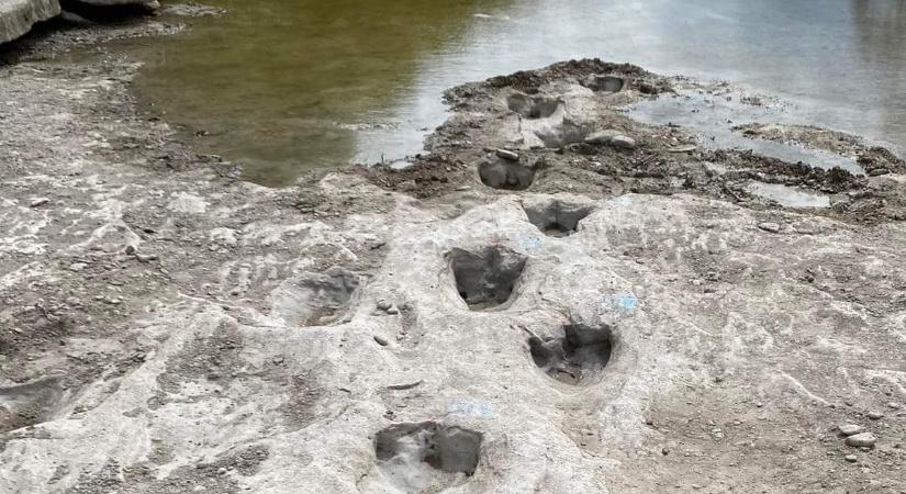 Száz millió éves dinoszaurusz nyomokat tárt fel a texasi szárazság