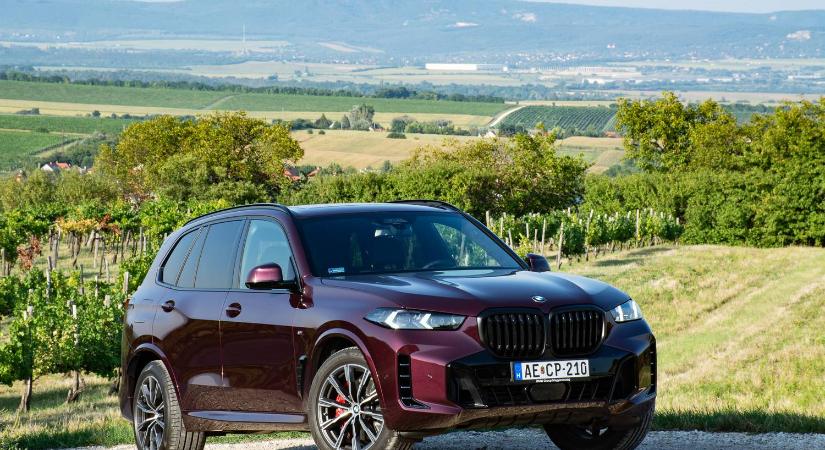 Ezt nem kell megmagyarázni - Teszt: BMW X5 xDrive30d - 2023.