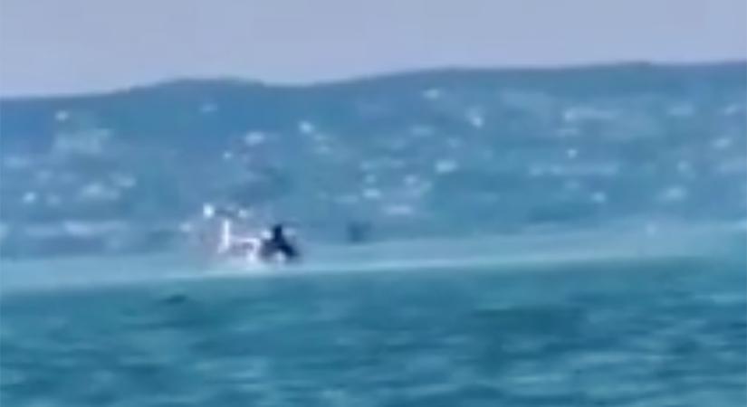 VIDEÓN a Balatonba zuhanó rendőrségi helikopter