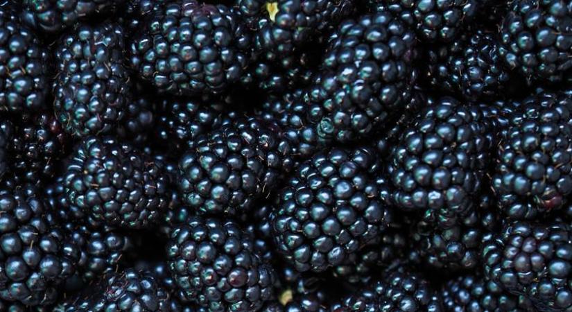 Frissen tartja az elmét és kiváló rostforrás: a szeder finom és egészséges