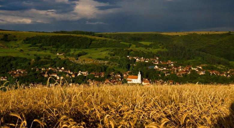 Már javában gyülekeznek hosszú útjukra a vándormadarak