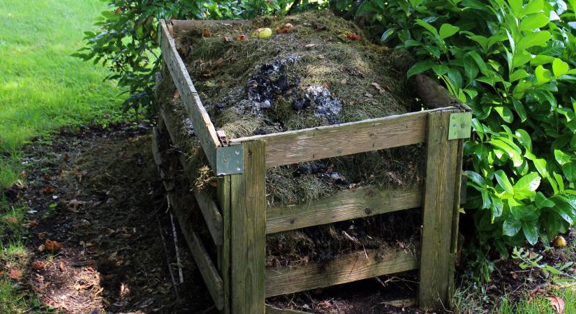 A biohulladék szelektív gyűjtésére dolgoztak ki megoldásokat a PTE-n