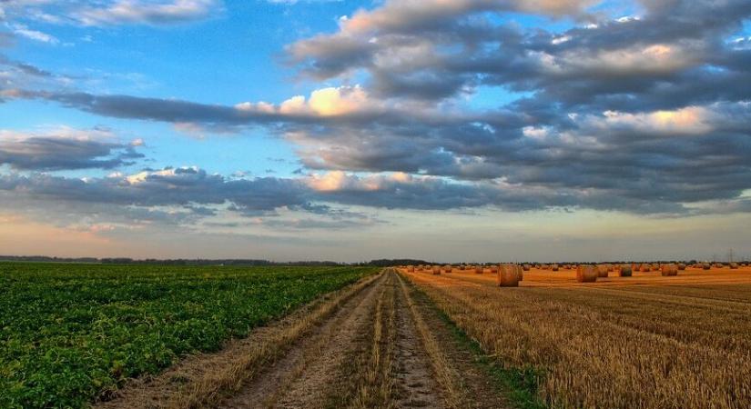 Agrometeorológia: jó az idő az éréshez
