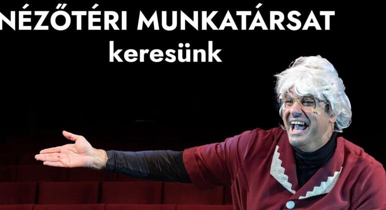 Nézőtéri munkatársat keres a Vidám Színpad!