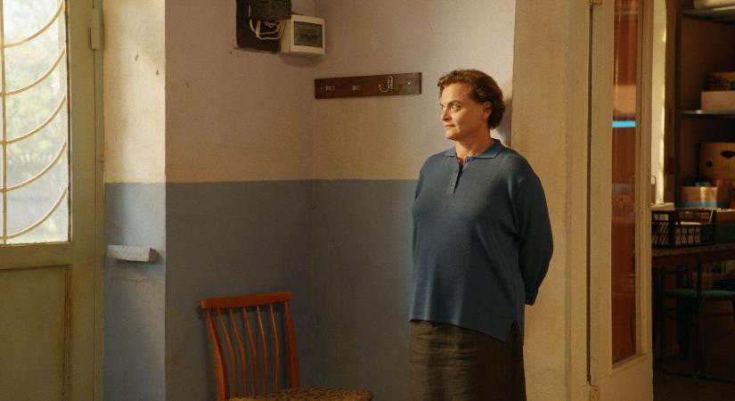 Átadták a 19. CineFest Miskolci Nemzetközi Filmfesztivál díjait