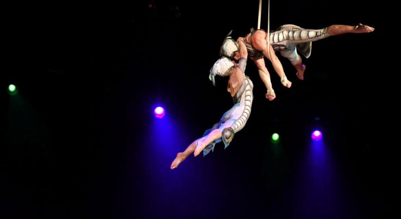 OVO – a nyüzzzsgő Cirque du Soleil show – Budapestre érkezik!